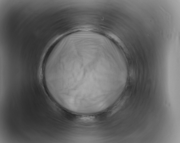 X0000088751466200706282155