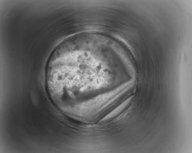 X0000088751467200706282155