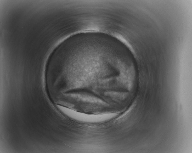 X0000088751469200706282155