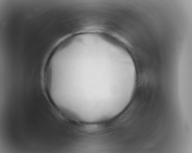 X0000088751470200706282155