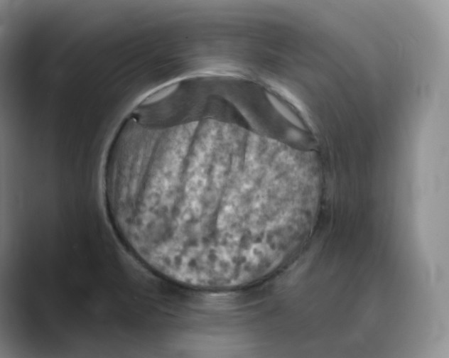 X0000088751471200706282155