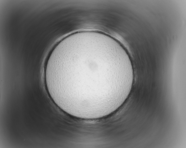 X0000088751472200706282155