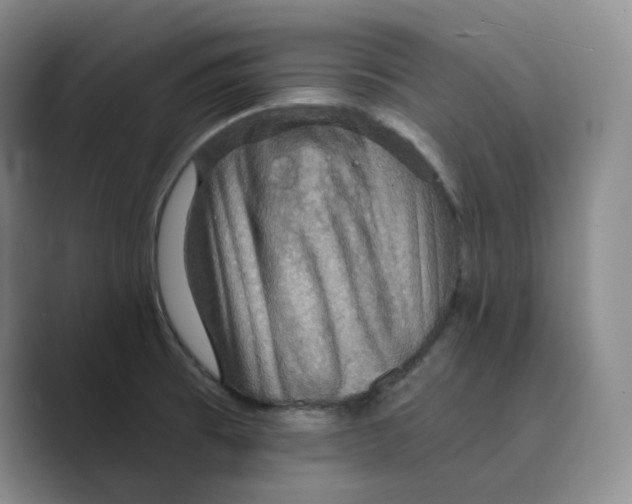 X0000088751473200706282155