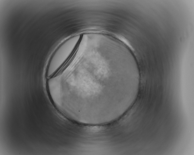 X0000088751474200706282155