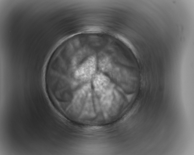 X0000088751475200706282155