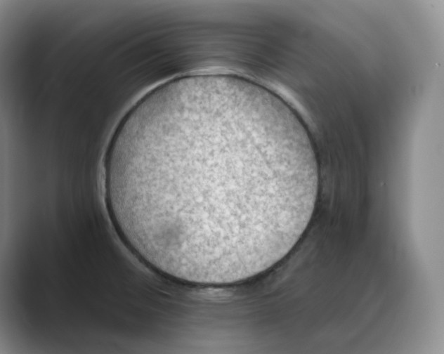 X0000088751476200706282155