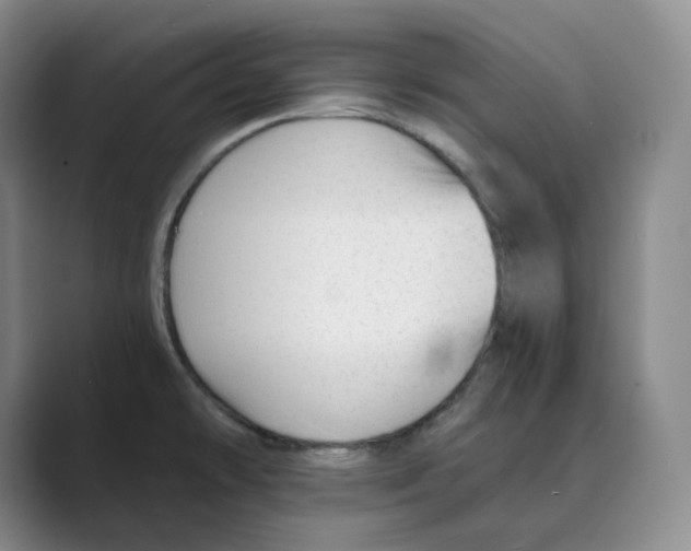 X0000088751478200706282155