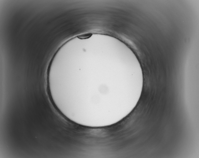 X0000088751479200706282155