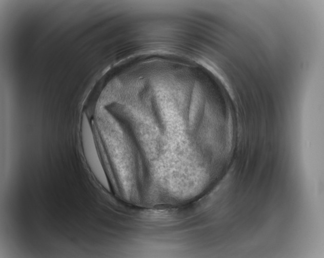 X0000088751481200706282155