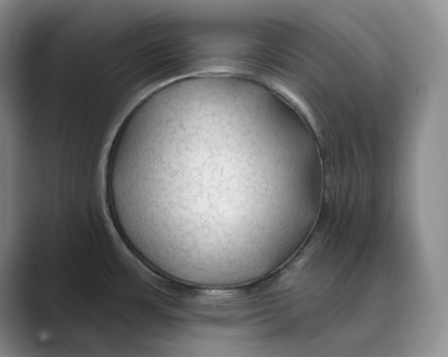 X0000088751483200706282155