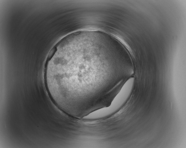 X0000088751484200706282155