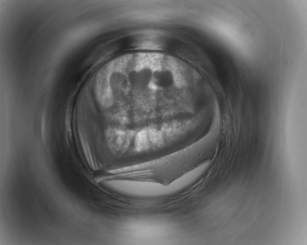 X0000088751487200706282155