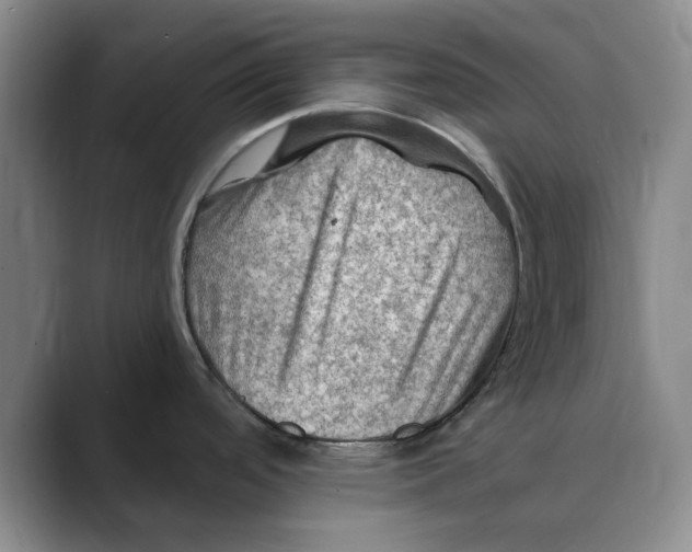 X0000088751488200706282155