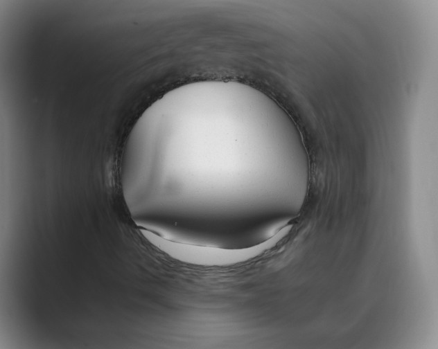 X0000088751490200706282154