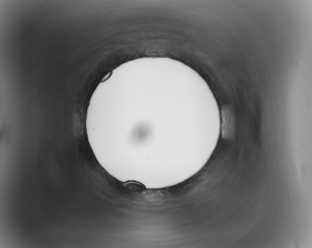 X0000088751491200706282154