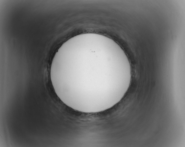 X0000088751493200706282154