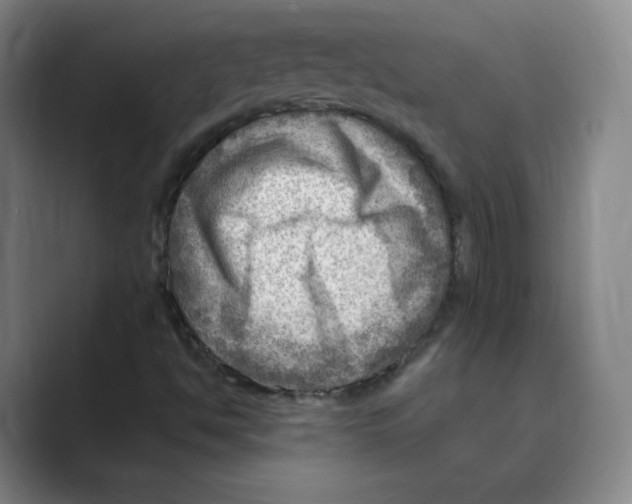 X0000088751494200706282154