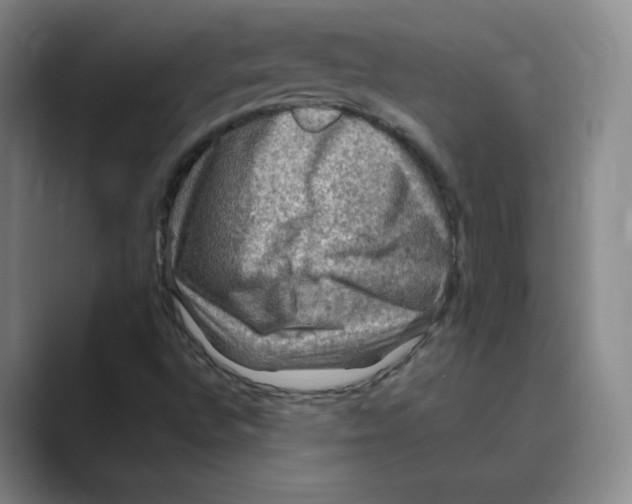 X0000088751496200706282154