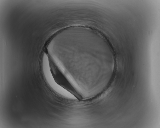 X0000088751497200706282154