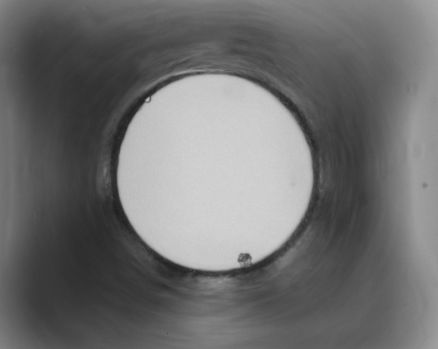 X0000088751498200706282154