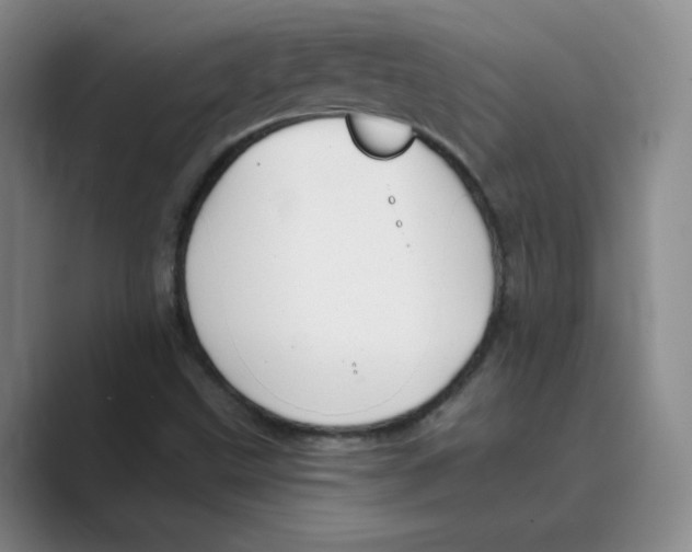 X0000088751499200706282154