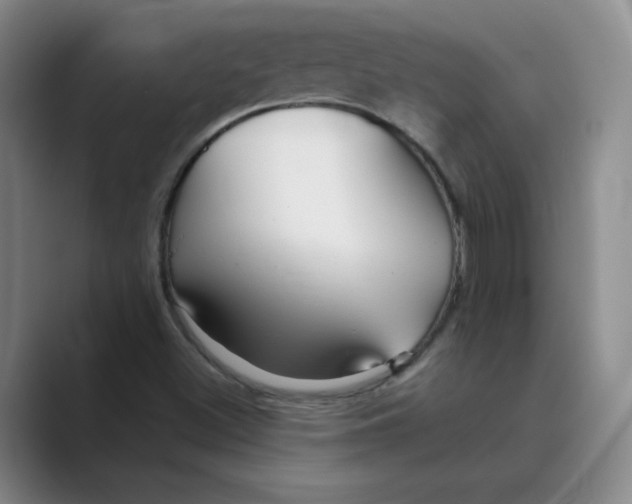 X0000088751500200706282154