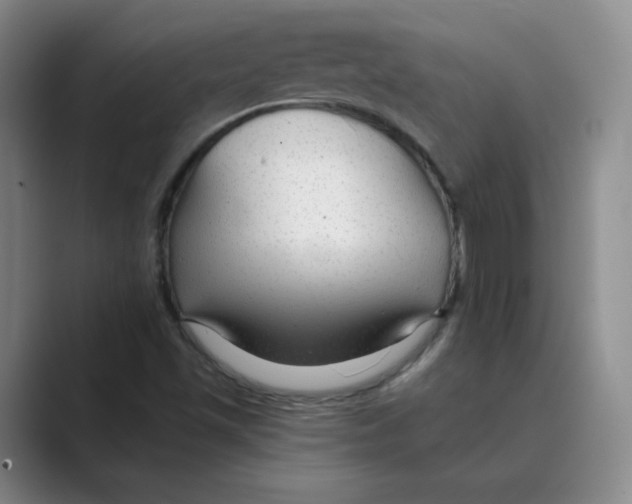 X0000088751501200706282154