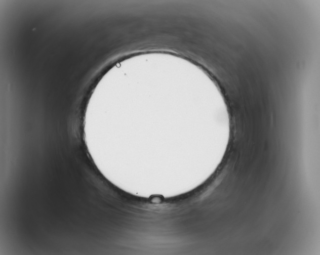 X0000088751502200706282154