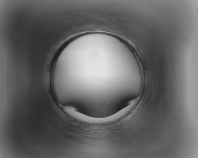 X0000088751503200706282154