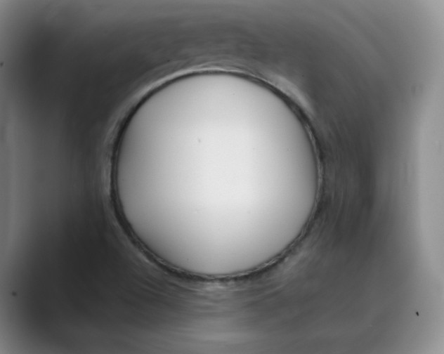 X0000088751504200706282154