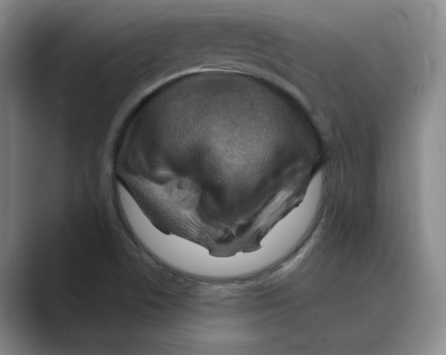 X0000088751506200706282154