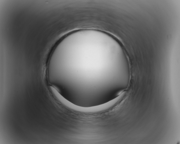 X0000088751507200706282154