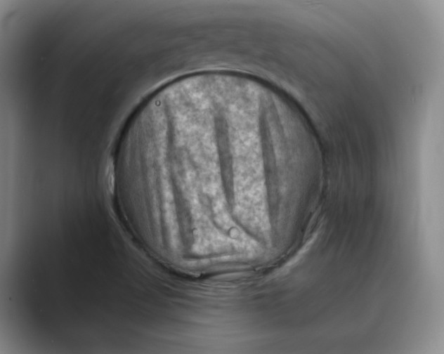 X0000088751509200706282154