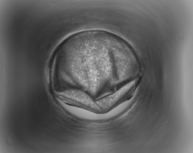 X0000088751510200706282154