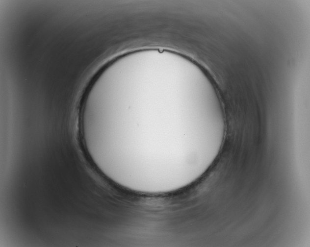 X0000088751511200706282154