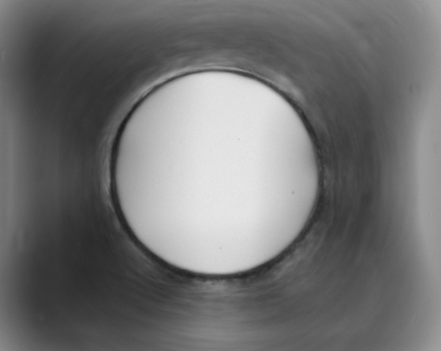 X0000088751512200706282154