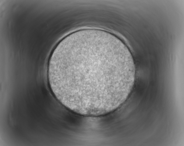 X0000088751514200706282154