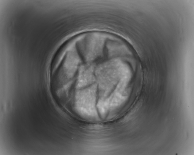 X0000088751515200706282154