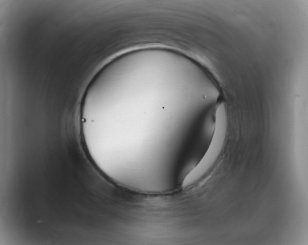 X0000088751516200706282154