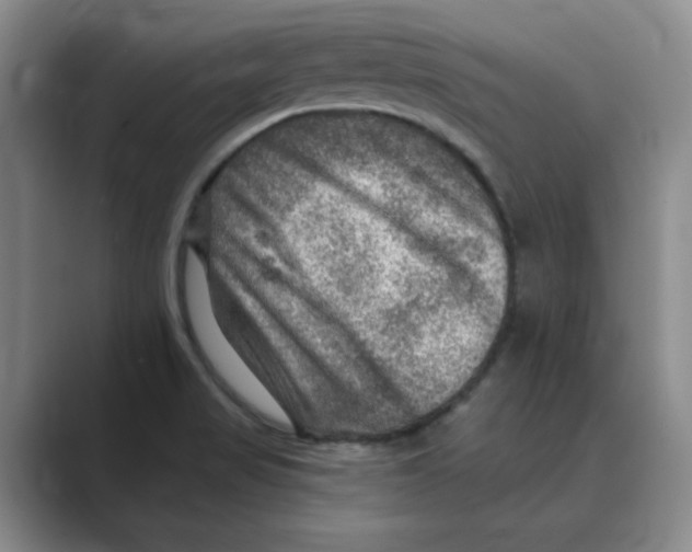 X0000088751517200706282154