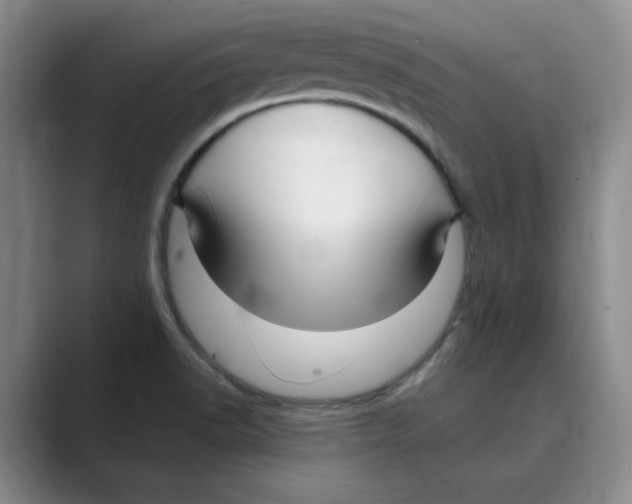 X0000088751518200706282154