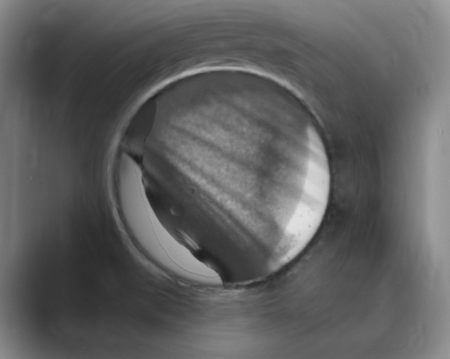 X0000088751519200706282154