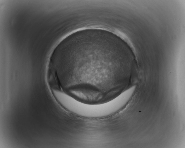 X0000088751520200706282154