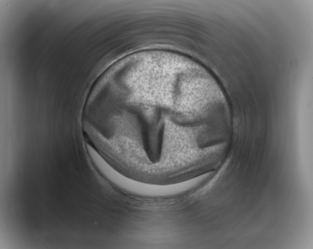 X0000088751521200706282155