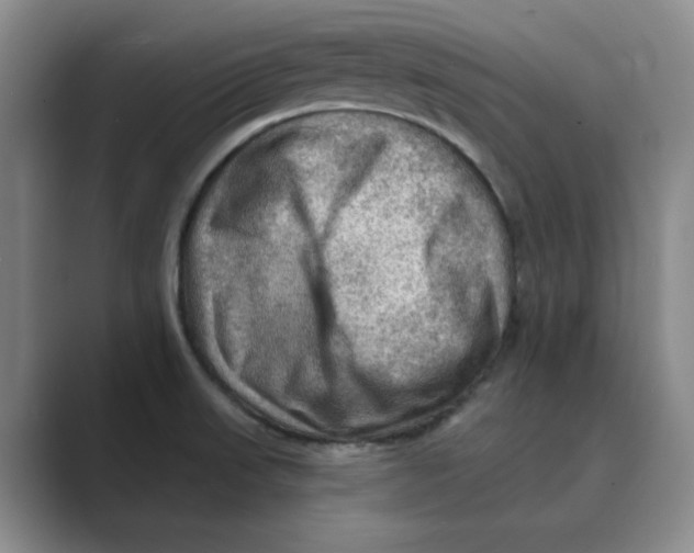 X0000088751523200706282155