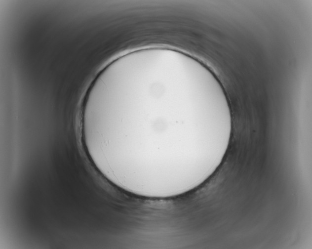 X0000088751526200706282155