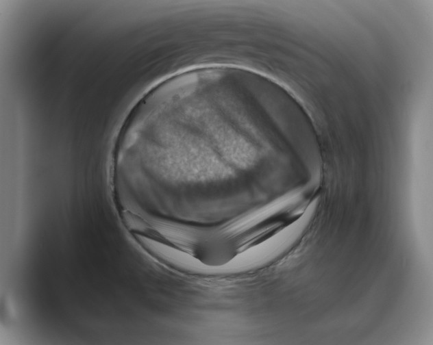 X0000088751527200706282155