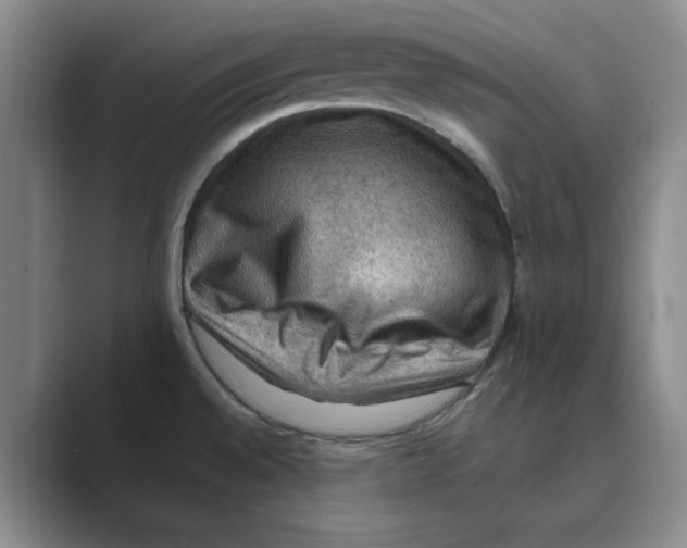 X0000088751528200706282155