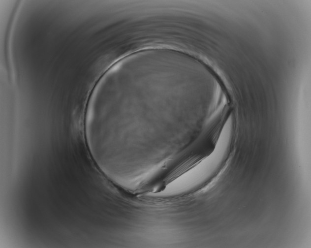 X0000088751529200706282155