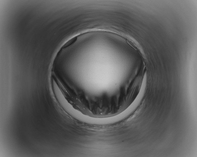 X0000088751530200706282155